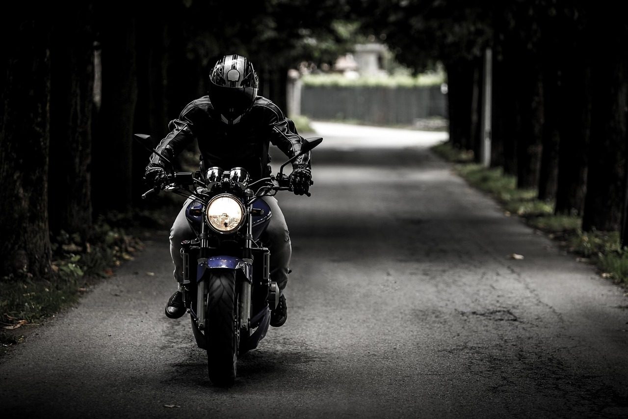 Motocyklista na drodze wśród drzew